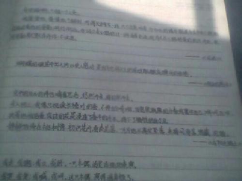 关于动作的好词和句子