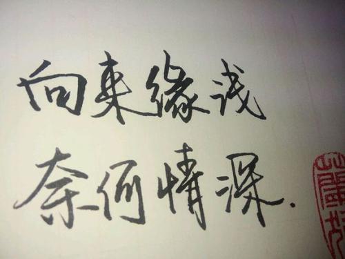 句子比悲伤更伤人