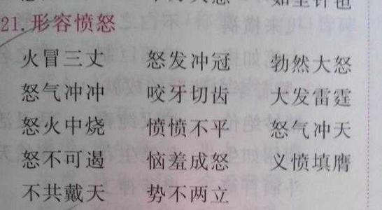 提取描述梅花的词