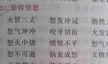 摘抄描写梅花的词语