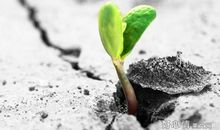 乐观面对困难的名言