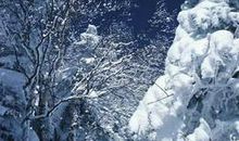 尽余生经典句子