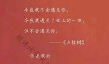 文笔优美的句子