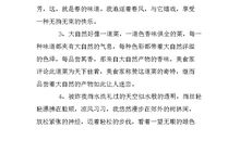 有关环境描写的句子