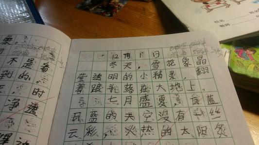 漂亮的句子描述外观