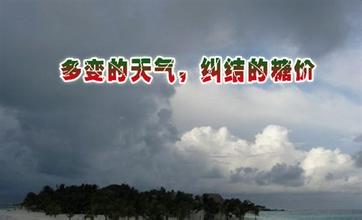 优美的句子描述天气