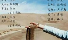 海子的经典爱情诗句