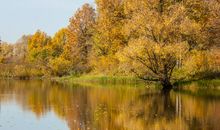 描写秋天的抒情句子