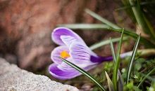 夏日搞笑祝福短信