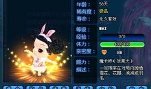 qq炫舞宠物名字大全