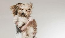 qq个性签名真心话