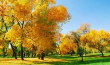 有关秋天的句子