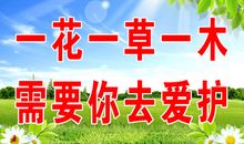 保护花草树木的标语