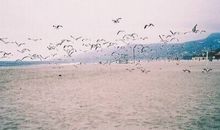 qq说说心情短语幸福