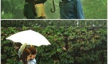 爱情雨经典句子