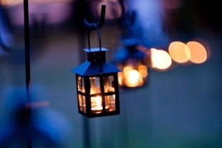 感性而优美的短句