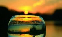 qq个性签名孤独患者