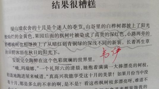 好话和漂亮的句子