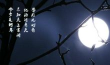 中秋表达思念的诗句