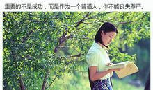 中国合伙人励志名言