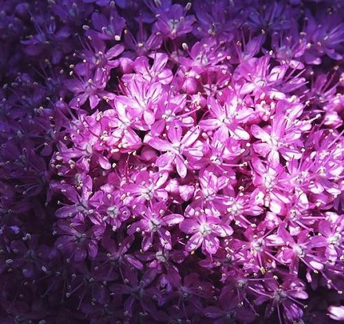 保持头脑冷静的句子