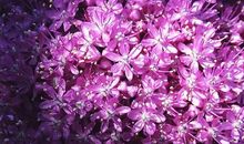 保持心态平和的句子