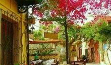 早上好的优美句子