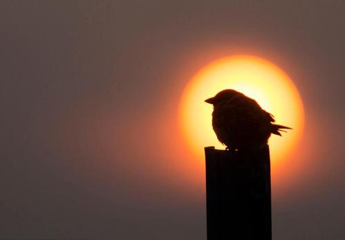 启迪人生的座右铭2