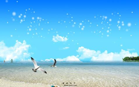 描述海洋的美丽句子