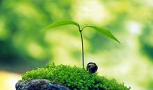 好听的口号大全霸气