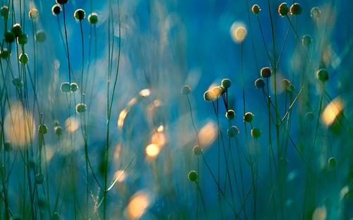 漂亮的口号大全霸气1