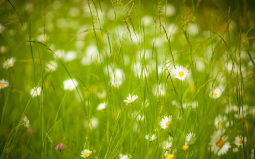 漂亮的口号大全霸气2