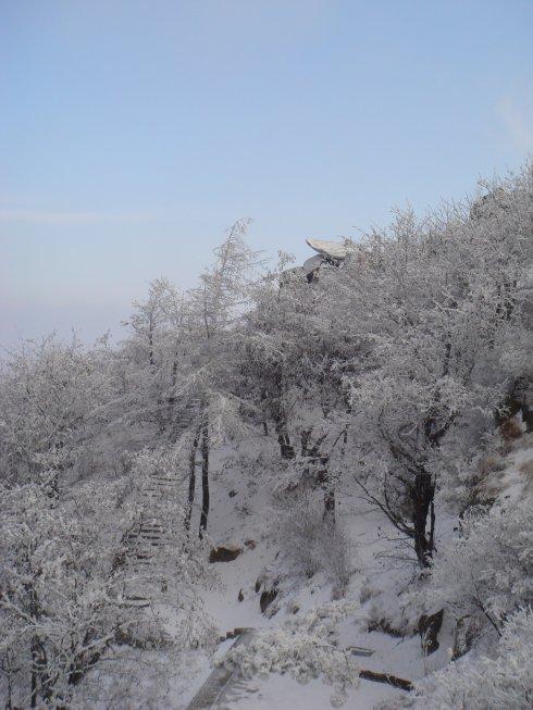 描写北方雪景的诗