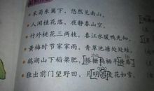 拔河的好词好句