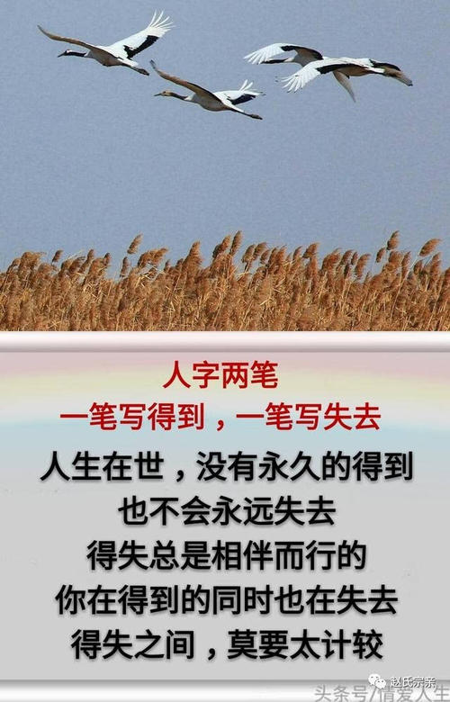 关于人生得失的名言