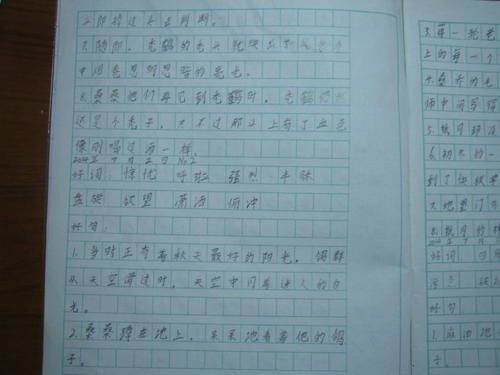 马的好词和段落