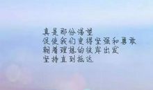 描写感情的诗句