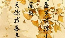 经典优美的古风句子