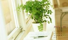 祝福新生儿开心幸福的句子 祝福开心快乐的句子