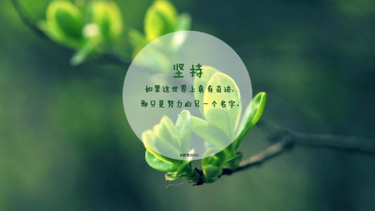 QQ个性签名少女句子