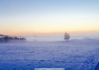 关于海洋美学的句子