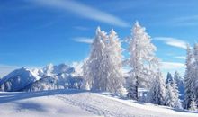 描写冬雪的诗句大全