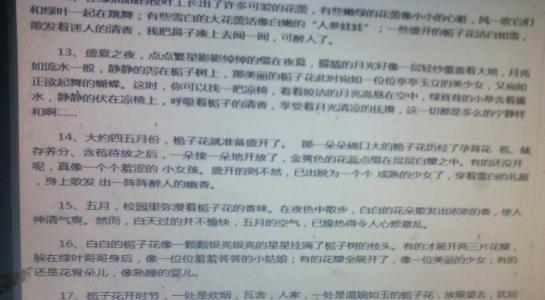 描写温柔女人的句子