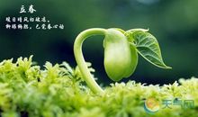 立春谚语