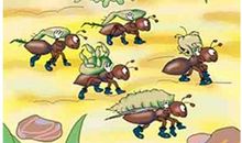 冬天的洋葱歇后语