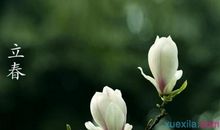 有关立春的农业谚语