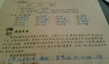 关于知识的比喻句