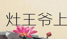 棒槌上天歇后语