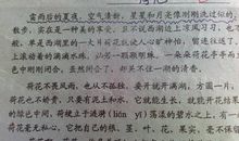 形容太阳的比喻句