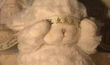 可爱的朋友圈说说